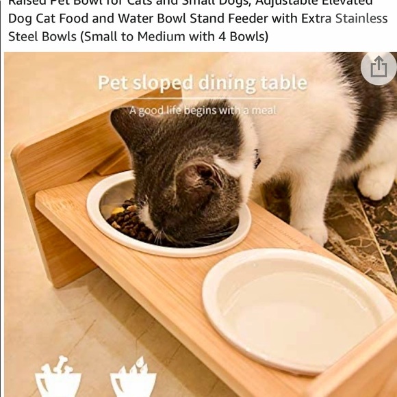 Small dog platform feeder - Picture 10 of 14